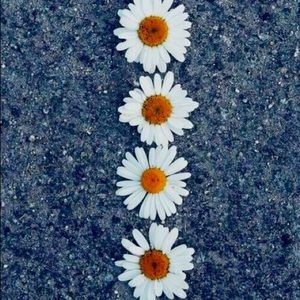 Trade for Tammy 🌻